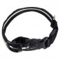 Collar de Perro con Luces LED