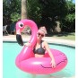 Flotador Hinchable Gigante Flamenco