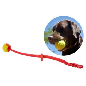 Lanzador de Pelotas para Perros