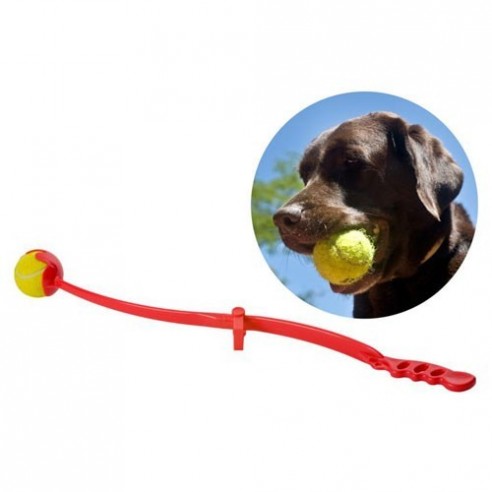 Lanzador de Pelotas para Perros