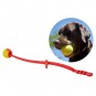 Lanzador de Pelotas para Perros