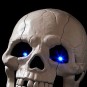 Teléfono Calavera
