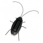 Cucaracha solar