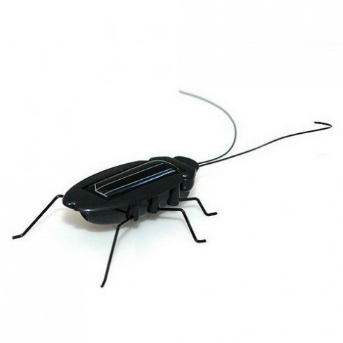 Cucaracha solar