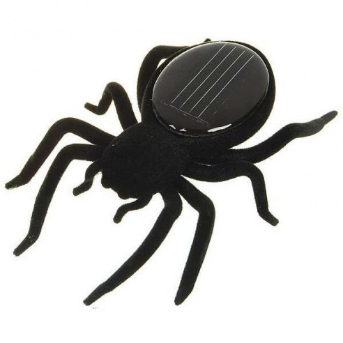 Araña solar