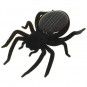 Araña solar