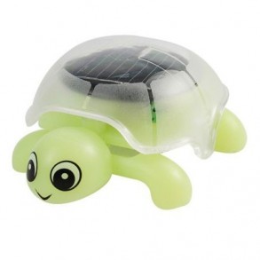 Tortuga Solar