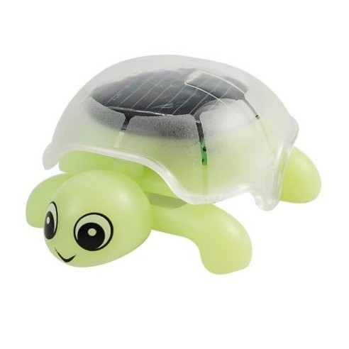 Tortuga Solar