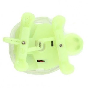 Tortuga Solar 2