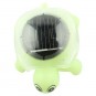 Tortuga Solar