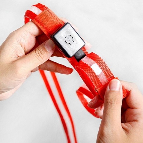 Correa de Perro Fibra Óptica LED Resistente al Agua
