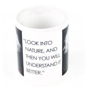 Taza Einstein 2
