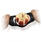 Cortador de Manzanas