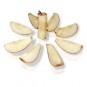 Cortador de Manzanas