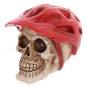 Calavera con Casco de Ciclista