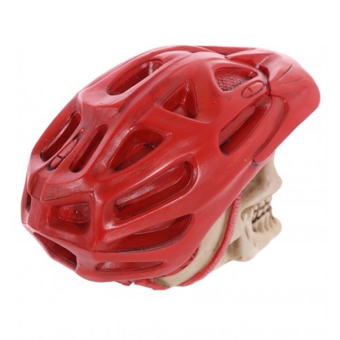 Calavera con Casco de Ciclista