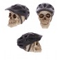 Calavera con Casco de Ciclista