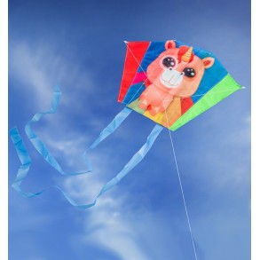 Mini Cometa Rainbow Lily 2