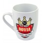 Taza a la Mejor Novia