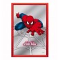 Cuadro Espejo Spiderman