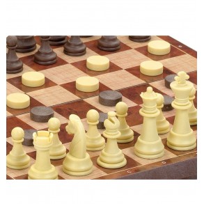 Juego Ajedrez Damas Magnético Mediano 2