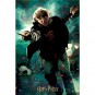 Puzzle Lenticular Harry Potter Ron Weasley Batalla 300 piezas