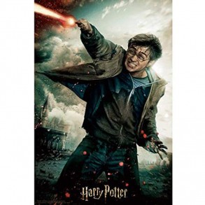 Puzzle Libro Lenticular Batalla Harry Potter 2