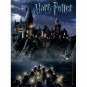 Puzzle Harry Potter World of Harry Potter 550 piezas