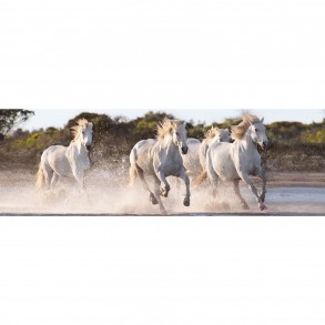 Puzzle Caballos 1.000 piezas 2