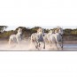 Puzzle Caballos 1.000 piezas