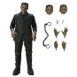 Figura Ultimate Frankenstein Monster Articulada 18cm