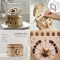 Puzzle de Madera Robotime Caja del Tesoro