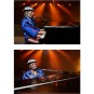 Figura Elton John Live 1976 20 cm