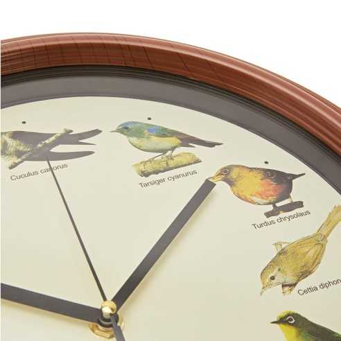 Reloj de Pared con Voces de Pajaritos
