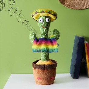 Planta Cactus Bailarina