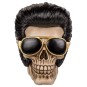 Hucha Calavera Roquero