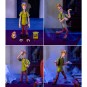 Figura Shaggy Rogers Scooby-Doo 15,5 cm 