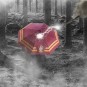 Paraguas Harry Potter Gryffindor