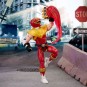 Figura Ranger Morphed Ken Soaring 15 cm Power Lightning Collection