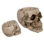 Cenicero de Poliresina Calavera