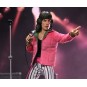 Figura Mick Jagger Rolling Stones 1975 - 20 cm