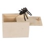 Araña en Caja de Madera