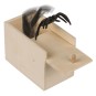 Araña en Caja de Madera