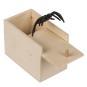 Araña en Caja de Madera