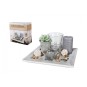 Plato de Madera Decorativo Portavelas