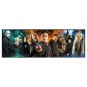 Puzzle Harry Potter Protagonistas Formato Panorama