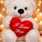 Osito Peluche Corazón Rojo I Love You