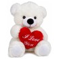 Osito Peluche Corazón Rojo I Love You