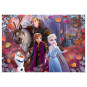 Puzzle Disney de Suelo Frozen 2